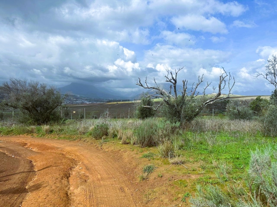 10 Bedroom Property for Sale in Stellenbosch Farms Western Cape